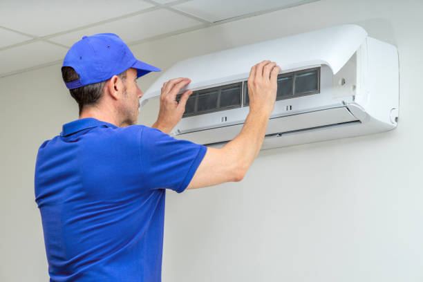 Best Air Duct Mold Removal  in Spring Valley, MN