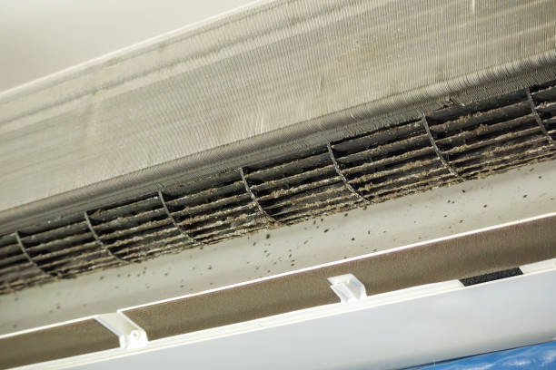  Spring Valley, MN Airduct Cleaning Pros