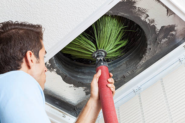 Best Ductwork Cleaning Services  in Spring Valley, MN