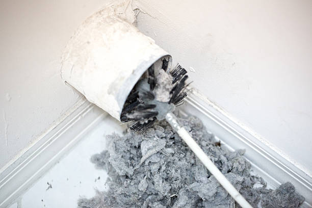 Best Professional Duct Cleaning Services  in Spring Valley, MN